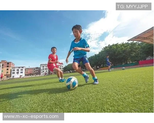 爱踢足球的哥哥在绿茵场上追逐梦想与友情的故事